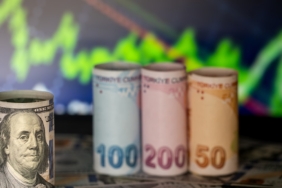 Dolar Endeksi Küresel Piyasada Gerilerken Türk Lirası Karşısında Rekor Kırdı